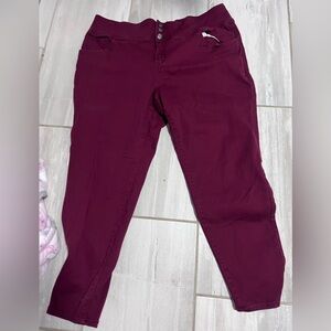 Hybrid & Company Maroon Trousers with Silver Accents